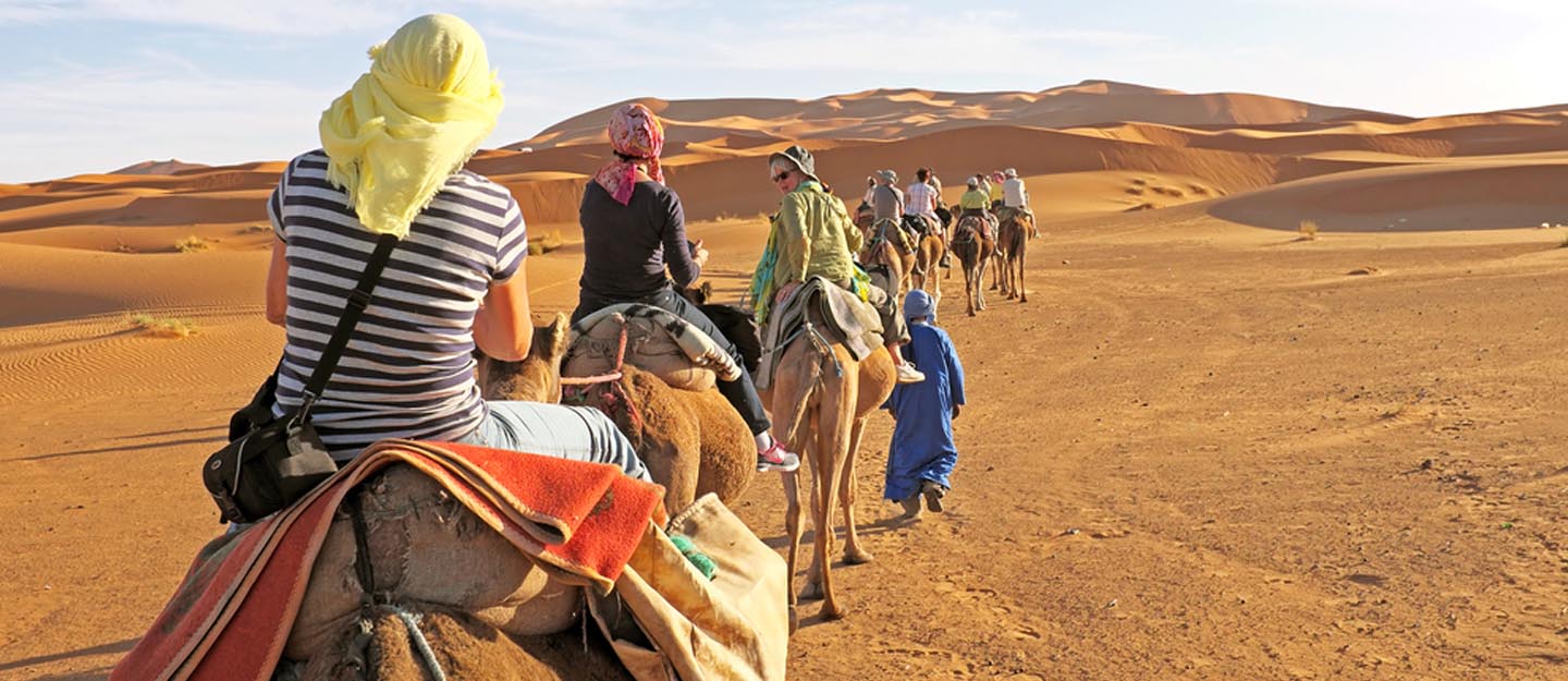Morning Desert Safari in Sharjah